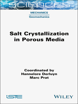 cover image of Salt Crystallization in Porous Media